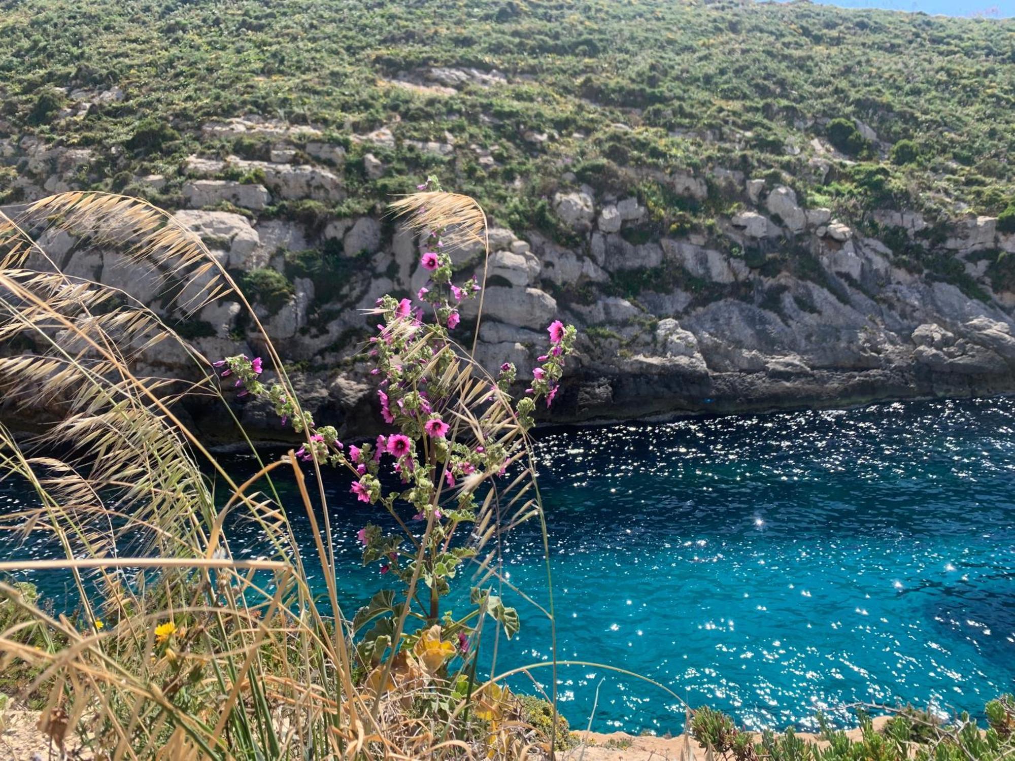 Private Bedroom With Balcony In A Shared Apartment At The Bay Of Xlendi Zewnętrze zdjęcie